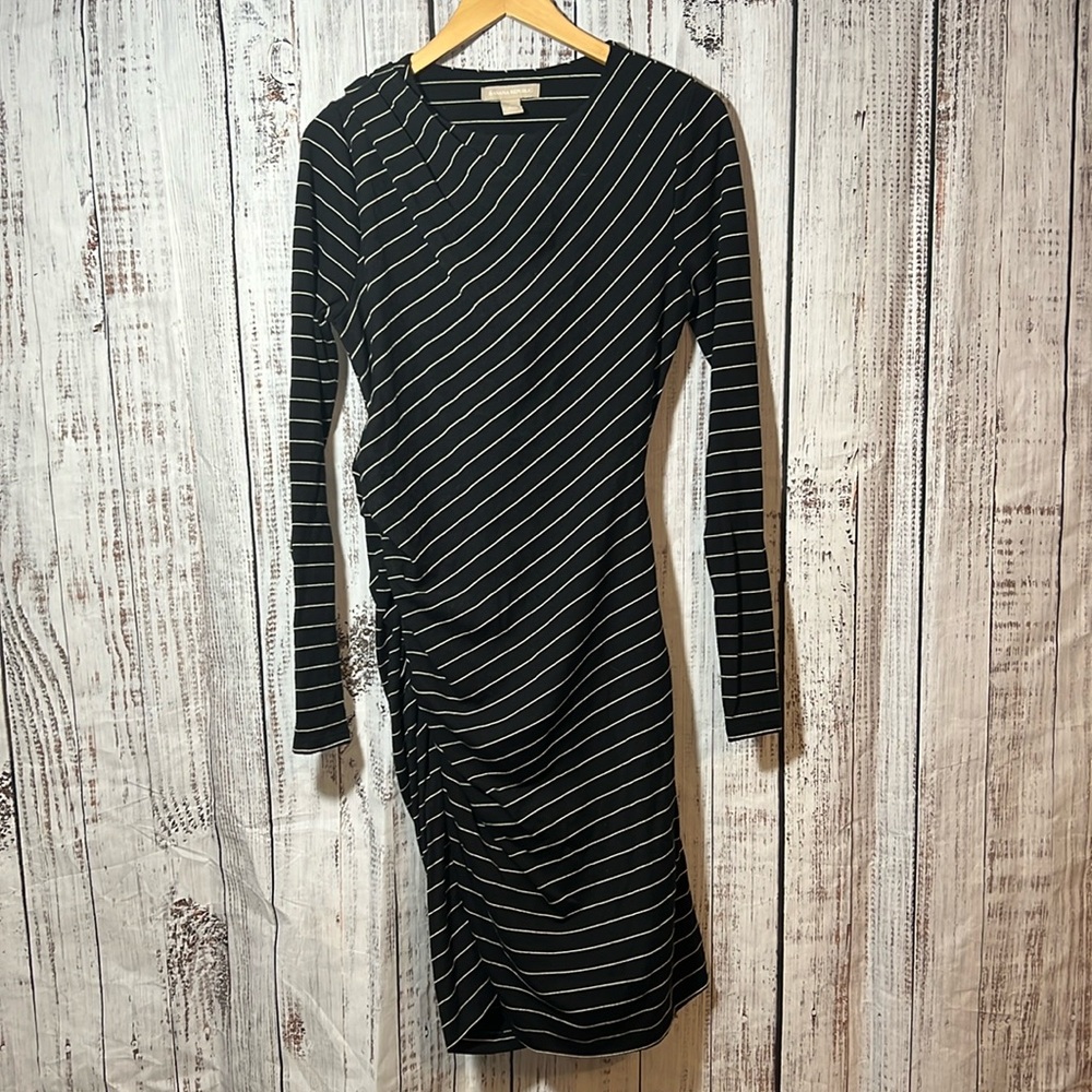 Banana republic warm striped dress
